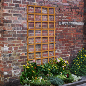 Heavy Duty Trellis - 183 x 91cm - Pack of 4 FSC® certified