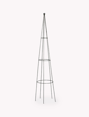 Barrington Pointed Obelisk Plant Support - Raw Metal, Dark Grey, Large
