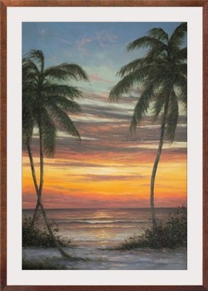 Sunset Palms