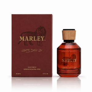 Lights Down Low Perfume - 3.4 oz.