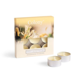 Colony 9 Scented Tea Lights - Sweet Honeysuckle