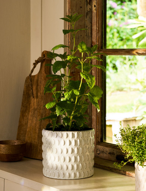 Blewbury Bobble Pot 18cm - Stoneware, White
