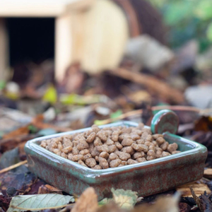 Hedgehog Food Bowl