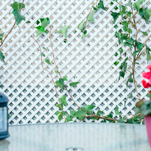 Celosia Pvc 0.80x1.2 18 mm. Blanco NORTENE