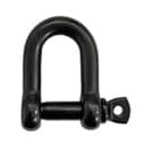 Black D Shackle - Stainless Steel