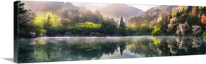 Morning Calm
