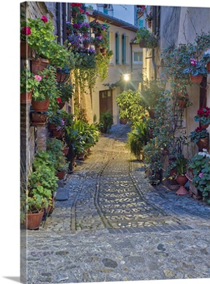 Italy, Umbria, Spello, Alley With Potted Plants