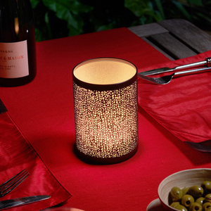 Omniance Seraphine Rechargeable Wireless Table Lamp with Remote