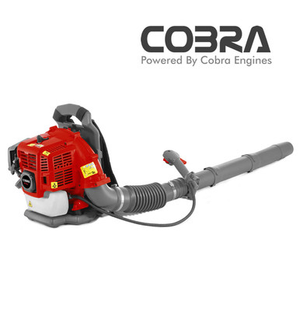 BP43C Backpack Blower