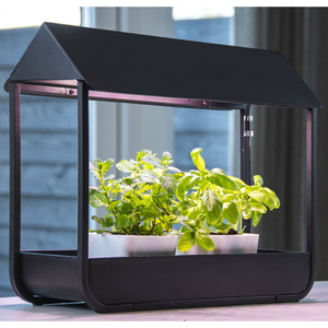 Indoor LED Grow Lamp with Timer for Seedlings Herbs and Flowers – Black Greenhouse Plant Light