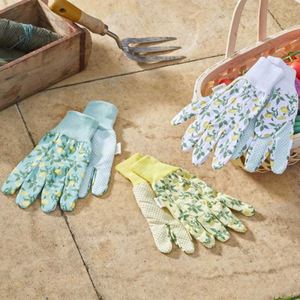 Sicilian Lemon Cotton Grips I Size M I Pack of 3