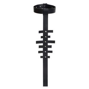 Extravagant Leather Choker (one size)
