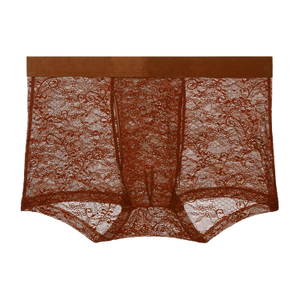 Sapna Mens Boxer Brief Cannelle (XL)