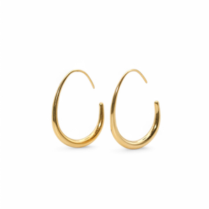 Slim Hoops Earrings (one size)