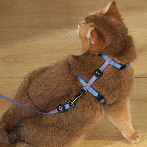 M-PETS Gentle Cat Harness &amp; Leash, Blue