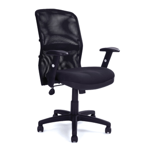Mesh Back Task Chair With Adjustable Lumbar Support