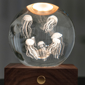 Jellyfish Crystal Light