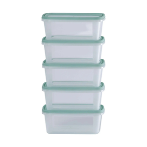 Set of 5 Everyday 0.5 Litre Plastic Food Boxes with Lids