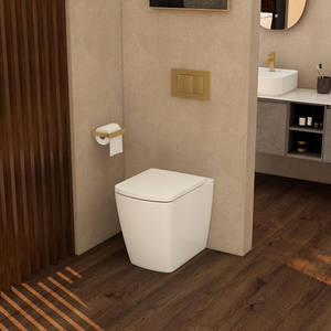 Imex Ravine Rimless Comfort Height Back to Wall Toilet with Soft Close Seat in White