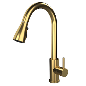 Venice Modern Kitchen Mixer Tap with Swivel Spout &amp; Pull Out Spray - Brushed Brass