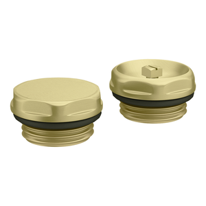 Chatsworth Radiator 1/2" Bleed Valve &amp; Blanking Plug Brushed Brass