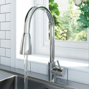 Schon Barra Pull Out kitchen Mixer Tap