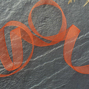 Ruban organza - Orange
