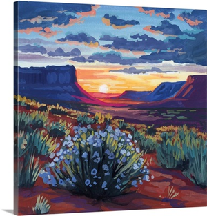 Desert Sunset On Blooming Bush