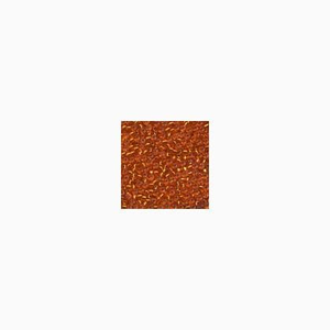 02034 Autumn Flame