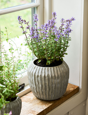 Cassington Linear Pot 24cm - Concrete, Grey