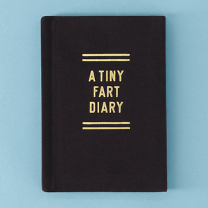 A Tiny Fart Diary