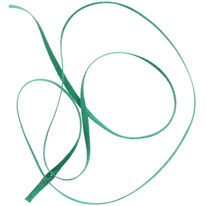 Bolduc pour patronage - Vert