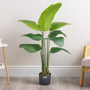 Artificial Banana Tree – 4ft & 5ft