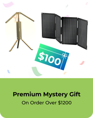 [Free Gift] Premium Mystery Gift for Orders Over $1200