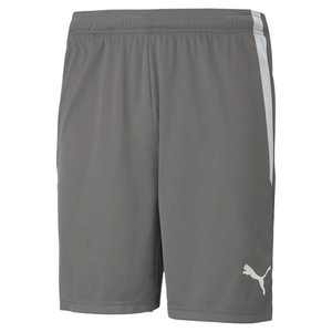 Puma Team Liga GK Shorts - GREY - 3XL