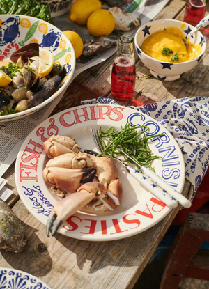 Seconds Red & Blue Toast Fish & Chips Large Dinner Plate, 10.5 Inch
