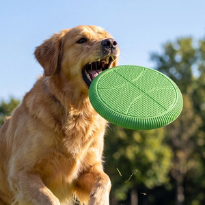 Pet Frisbee