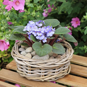 Round Shallow Grey & Buff Rattan Planter