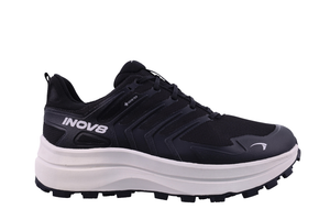 Roclite Max GTX Mens