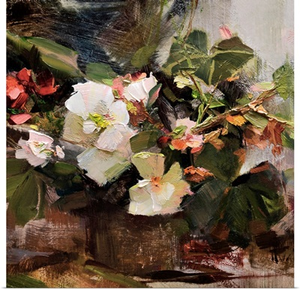 Begonias
