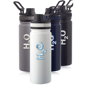 Houston 23 oz. Stainless Steel Water Bottle with Carrying Handle