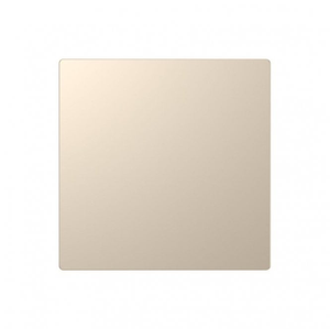 DE015CGS Screwless 1G Blanking Plate in Champagne Gold