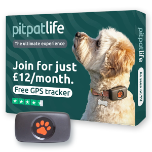 PitPat LIFE™ Membership - Black