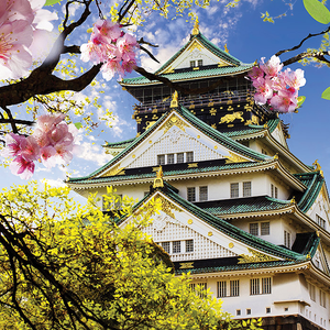 Japan - Land of the Rising Sun