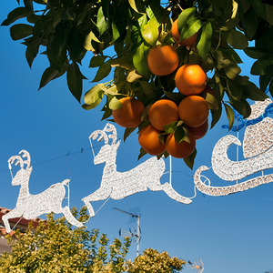 A Week in Andalucia at Christmas