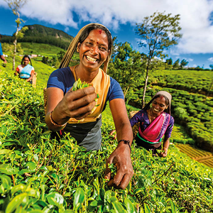 Sri Lanka - Pearl of the Indian Ocean
