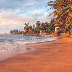 Sri Lanka - Pearl of the Indian Ocean with Beruwala Beach add-on