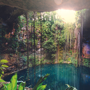 A Mexican Adventure