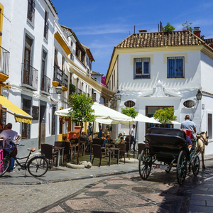 Andalucia at Christmas