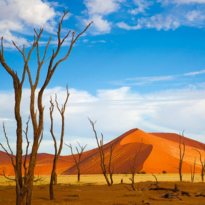 Namibia - Tribes & Natural Wonders